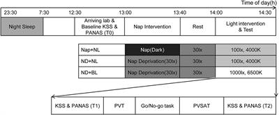 Does Bright Light Counteract the Post-lunch Dip in Subjective States and Cognitive Performance Among Undergraduate Students?